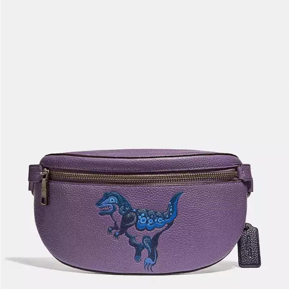 Coach Belt Bag With Rexy By Zhu Jingyi